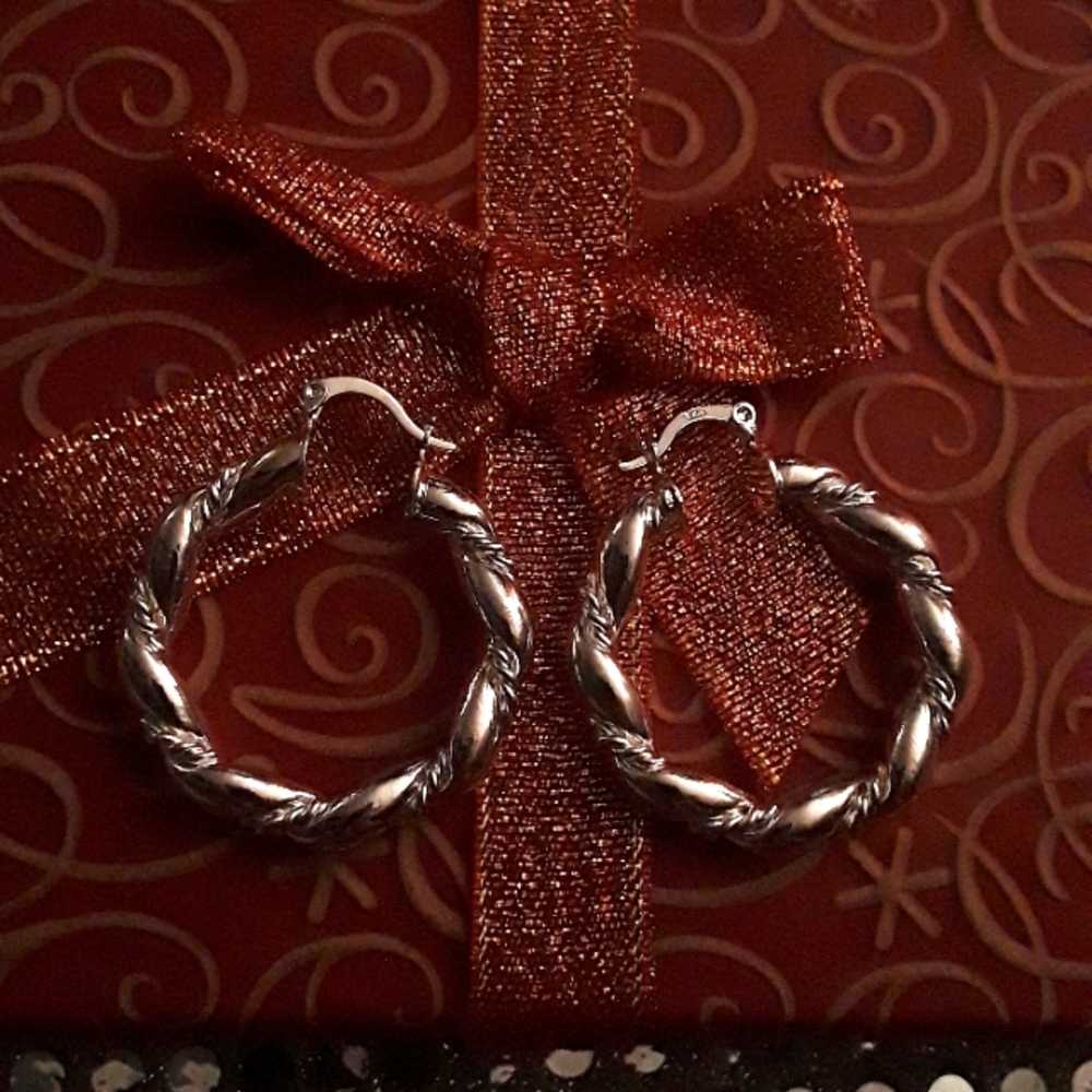 Silver Hoop Earrings (Fashion Jewelry)